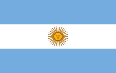 Argentina Stamp Album Pages to 2017 - Digital Download
