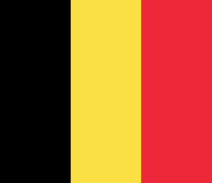 Belgium  Stamp Album Pages to 2017 - Digital Download
