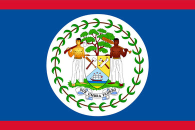 Belize  Stamp Album Pages to 2017 - Digital Download