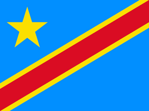 Congo Democratic Republic  Stamp Album Pages  - Digital Download