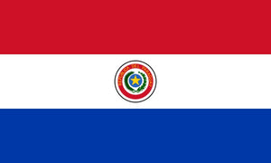 Paraguay -  Stamp Album Pages to 2016 - Digital Download