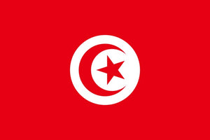 Tunisia Stamp Album Pages to 2017 - Digital Download