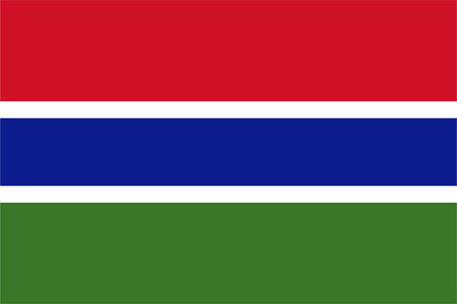 Gambia Stamp Album Pages to 2014 - Digital Download