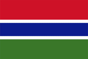 Gambia Stamp Album Pages to 2014 - Digital Download