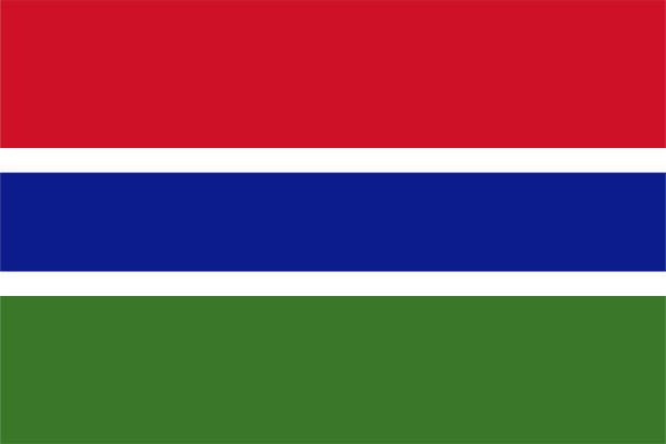 Gambia Stamp Album Pages to 2014 - Digital Download